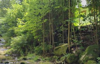 Chata Wilczka - Foto 15