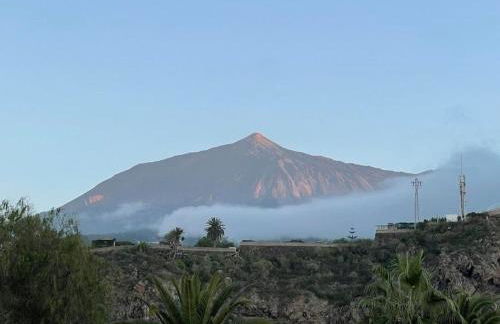 Alina's Nest - Foto 22