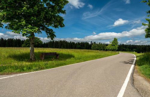 Schwarzwald Ruhe - Photo 26
