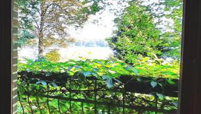 Lake view for two, near Berlin - Foto 4, Garden view