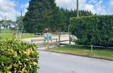 Les Maisons de Lessac - Foto 15