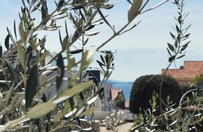 Apartments Buskulic - Foto 34