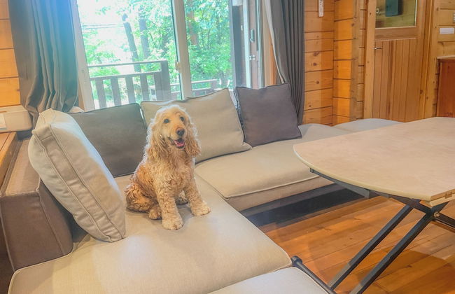 HAL Cottage - Foto 31