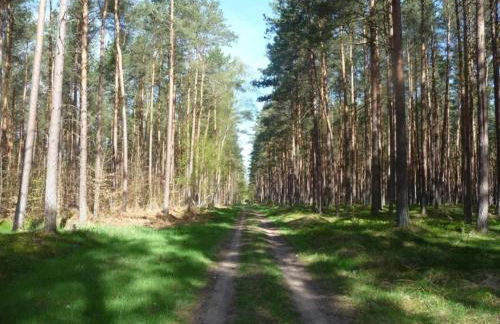 Wohnung nahe Ostsee Graal Müritz Strand - Photo 23