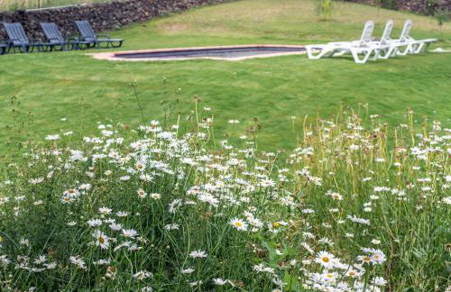 La Umbría de la Ribera - Foto 36