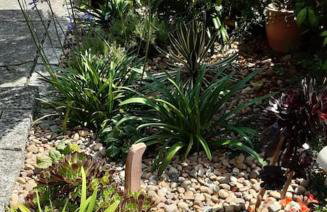 Corvus - Beautiful cottage half a mile from Mousehole - Photo 6