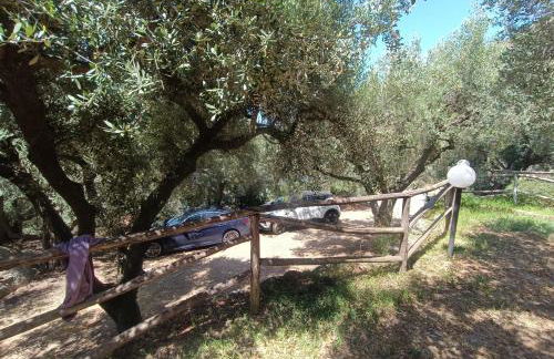 Ville Selena e Gemma - Foto 52