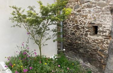 Maison de vacances hyper centre, plage à pied - Etables sur Mer - Foto 18