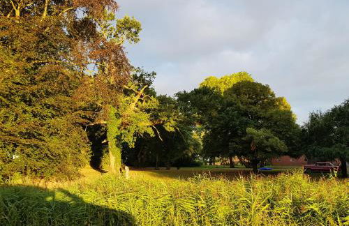 Johannes Hof - Foto 31