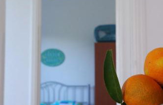 Garden house - Photo 36