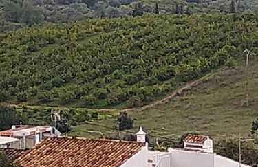 Casa do Bairro - A Gema escondida da Santa Catarina da Fonte do Bispo - Foto 44