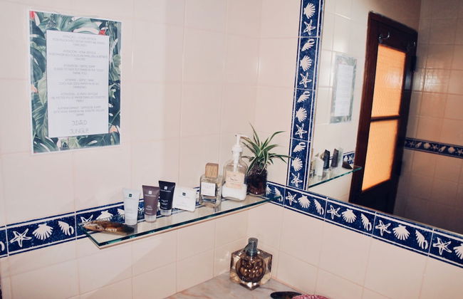 João Jungle - Foto 42