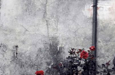 La casa di Cinzia - Foto 16