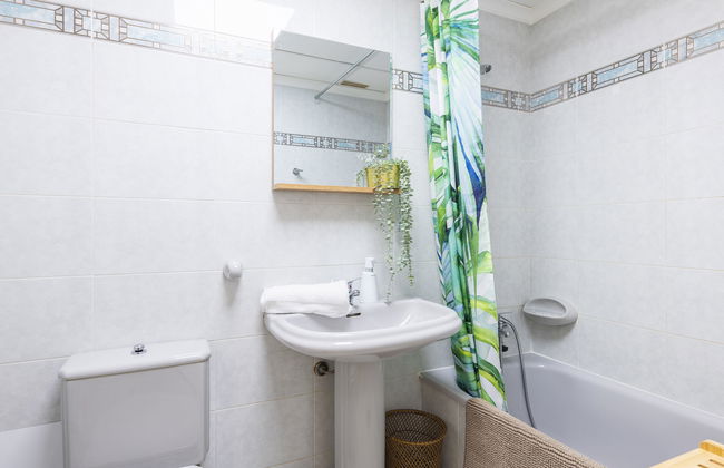 Hortensia - Primera Linea - Foto 13