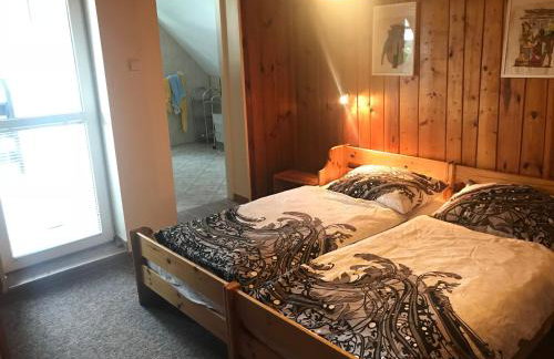 Gościniec Boruja - Foto 7