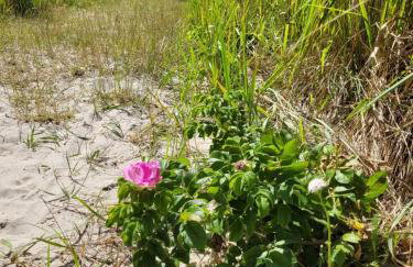 Domki Apartamentowe ITALIA - Foto 50