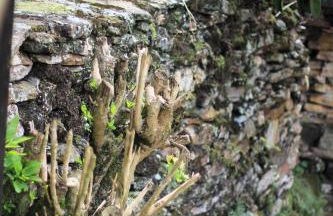 Casazul - OP - Photo 31