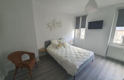 Sully sur Loire : appartement centre ville - Photo 1