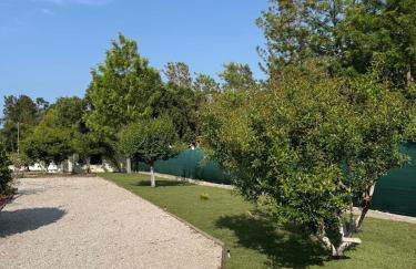 Casa dos Sobreiros - Foto 19