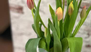 Ferienwohnung WerraLiebe - Foto 3