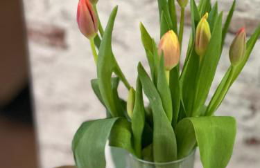 Ferienwohnung WerraLiebe - Foto 3