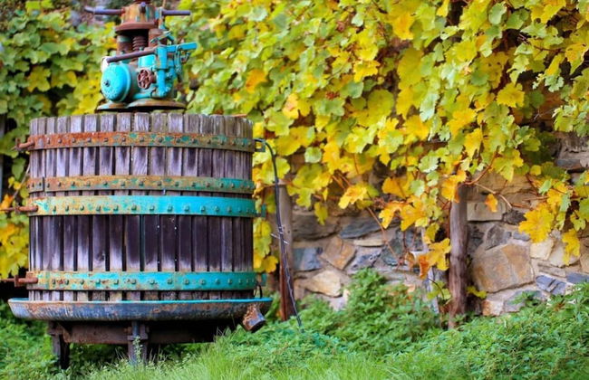 Apartment Pinot Noir - Foto 9