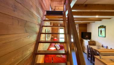 LE PASSE-MONTAGNE Bel appartement avec terrasse dans vieille ferme de montagne rénovée - Foto 4