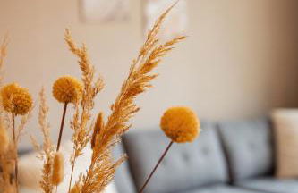 Ferienwohnung Ferdinand - Foto 12