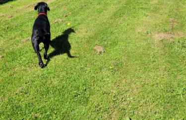 Swallow cottage, Over Kellet - Foto 50