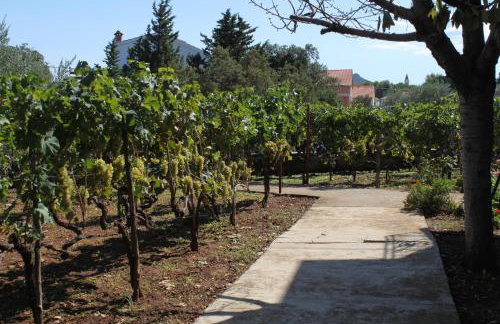 Apartments with a parking space Ugljan - 8404 - Foto 15