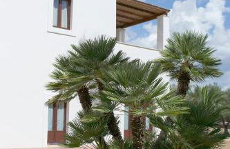 Tenuta Afra - Foto 42