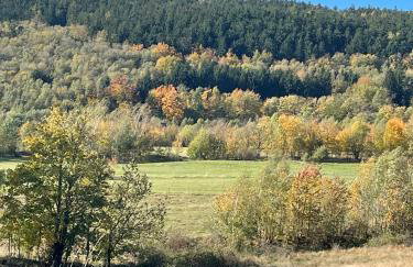 Wzgórze Artystów - Foto 32