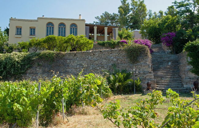 Montofoli Wine Estate - Foto 45