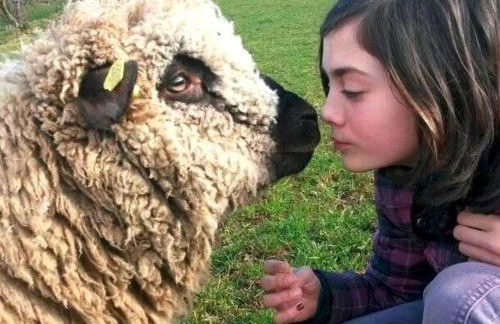 Ferienwohnungen Maierhof Oberried - Foto 59