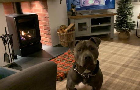 Woodland Cottage - private courtyard - Pet Friendly Retreat in the heart of Windermere - Photo 3