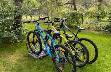 Dom Na Brzegu Ciszy - Foto 10