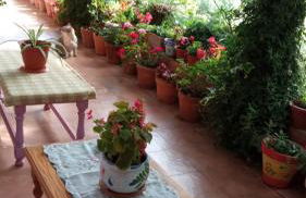 Casa Rural: La Casa Mágica de Gredos - Foto 52