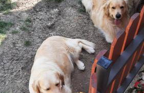 Apartment Marija - Foto 27