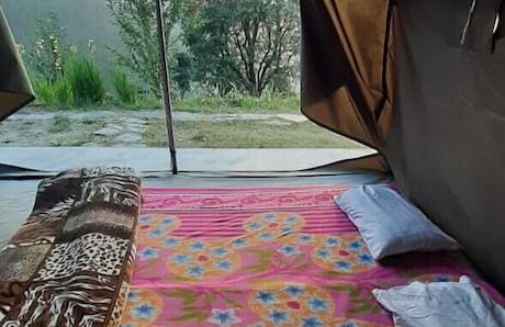 Pine Hills Nature Camp - Foto 2