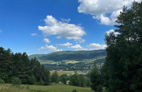 Leśna Rezydencja - Foto 17