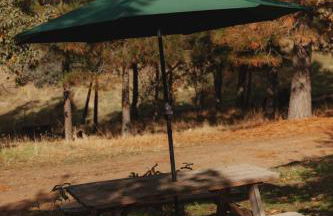 Glamping yurt at a nature retreat near Sequoia - Foto 40