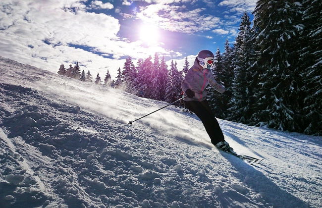 Apartment Sofia - Foto 17