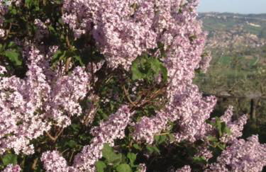 Il Filo di Arianna Cottage di Campagna - Photo 45