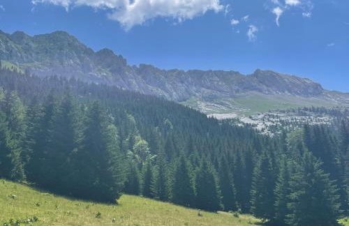 Confortable appartement rénové centre Villard de Lans - Foto 28