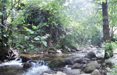 Apartamento Alhondiga Hervás - Foto 39