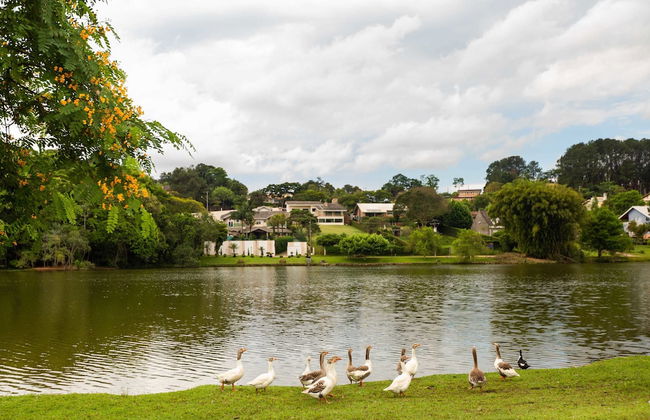 Yellow Village - Foto 50