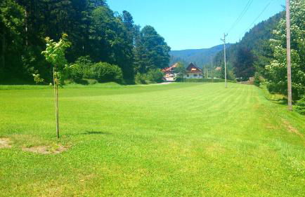 Fewo Moonshine 79 - Foto 20