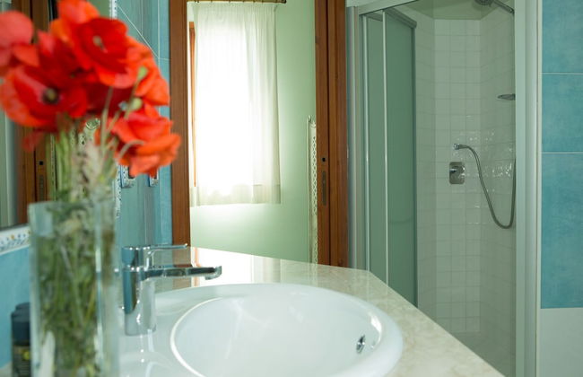 Tenuta Olive Alive - Foto 35