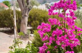 Mistral-Patmos - Foto 75