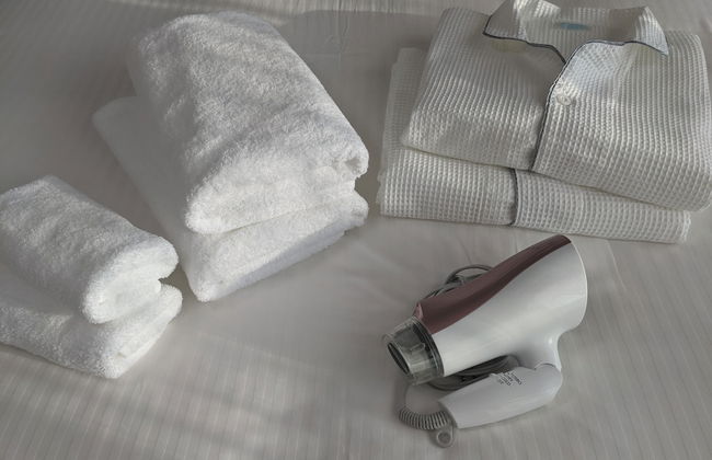 ESLEAD HOTEL Namba South 2 - Foto 27